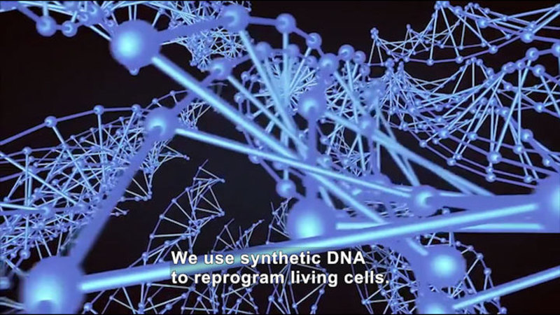 Computer graphic representation of clusters double helix DNA strands. Caption: We use synthetic DNA to reprogram living cells.