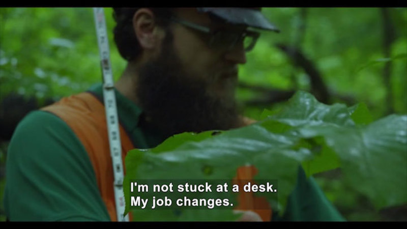 A person wearing a green shirt and an orange vest carrying a measuring stick works in a forest.  Caption: I'm not stuck at a desk. My job changes.