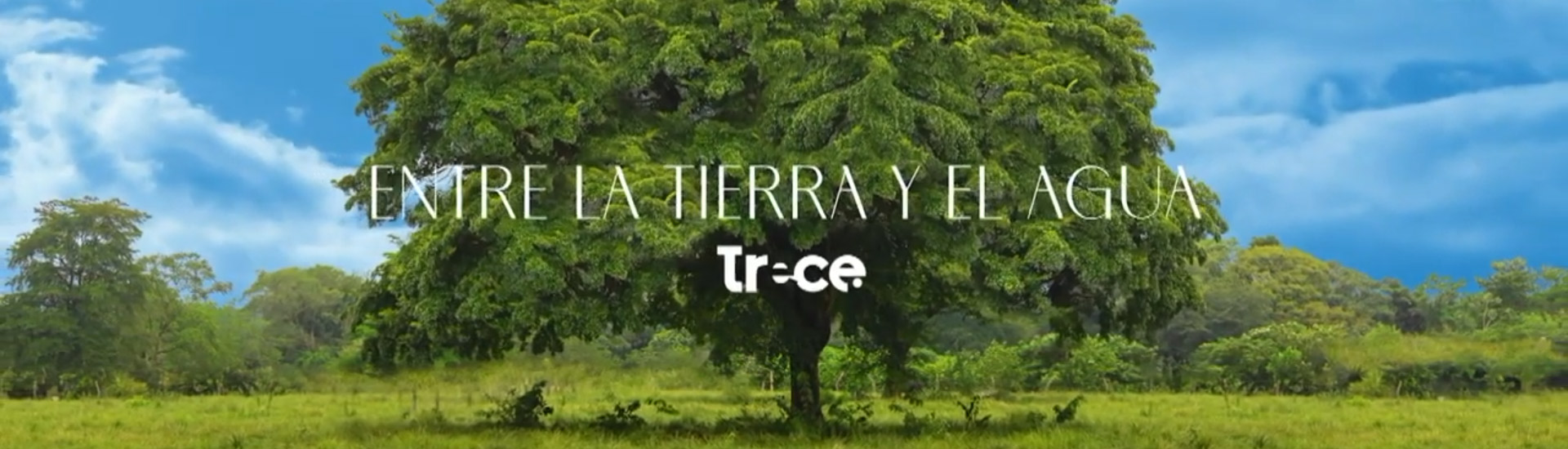 Between Land and Water (Spanish)