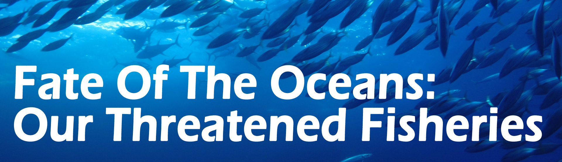 Fate Of The Oceans: Our Threatened Fisheries