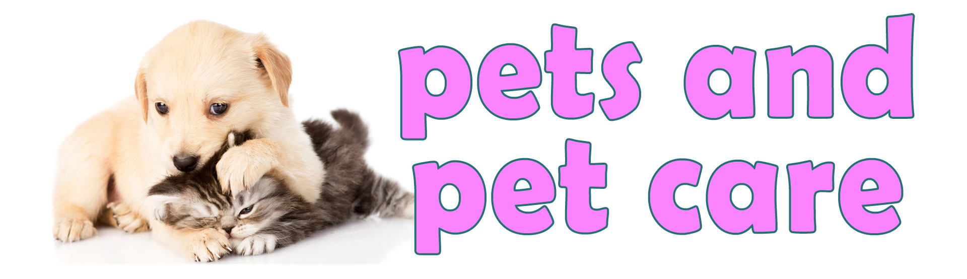 Pets And Pet Care 
