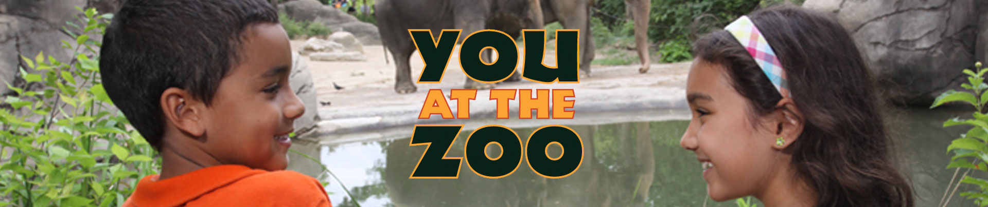 You at the Zoo