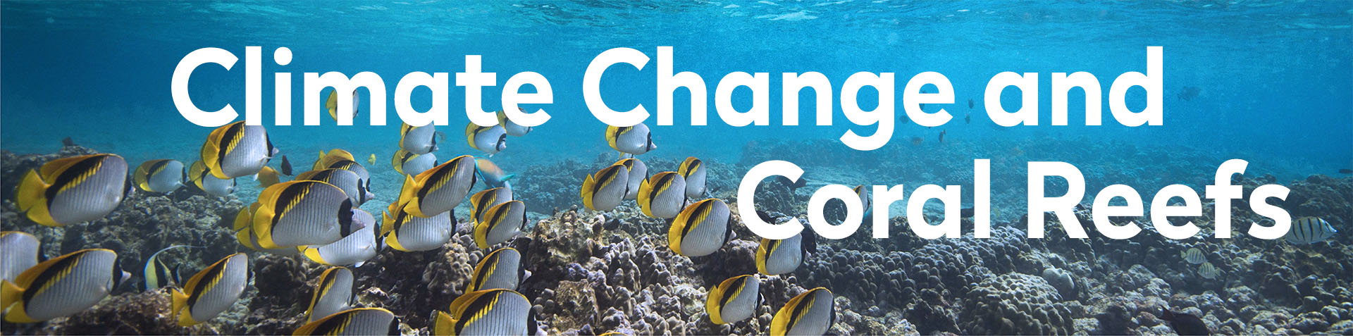 Climate Change and Coral Reefs