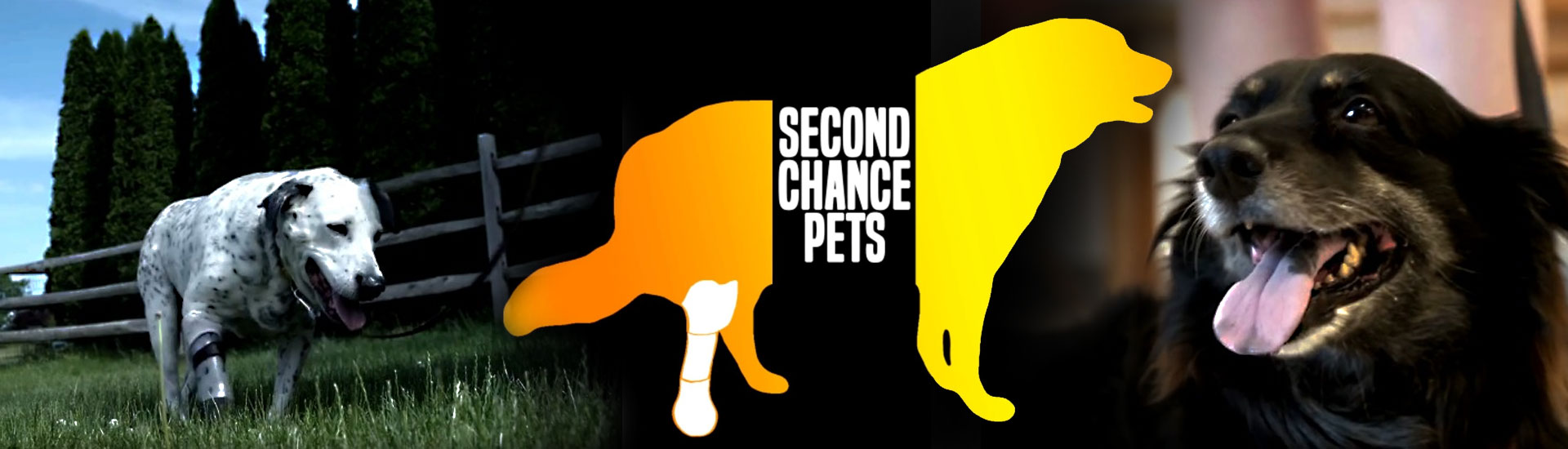 Xploration Second Chance Pets