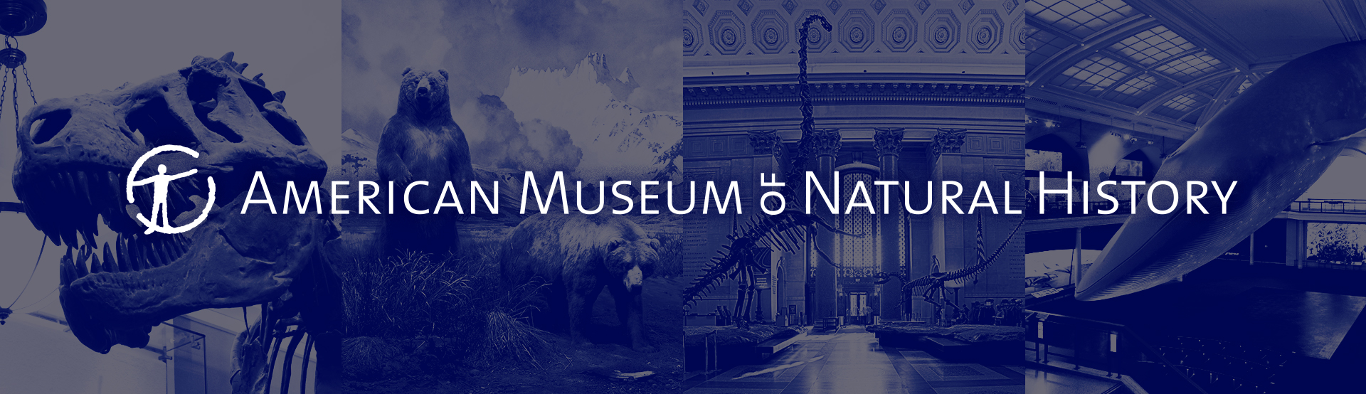 Image for American Museum of Natural History