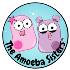 Amoeba Sisters Logo